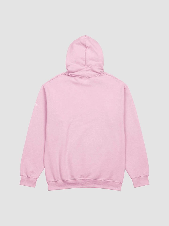 Golden Gate Park Raccoons Classic Hoodie product image (2)