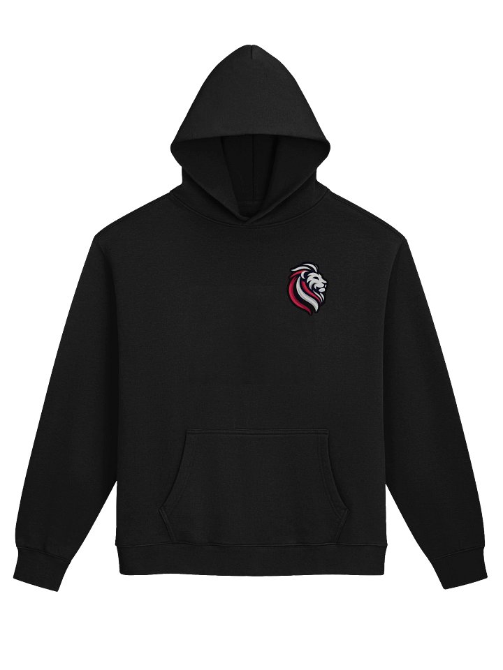 Snipes Oversized Hoodie product image (1)