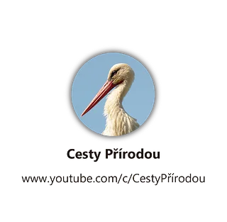 Cesty Přírodou