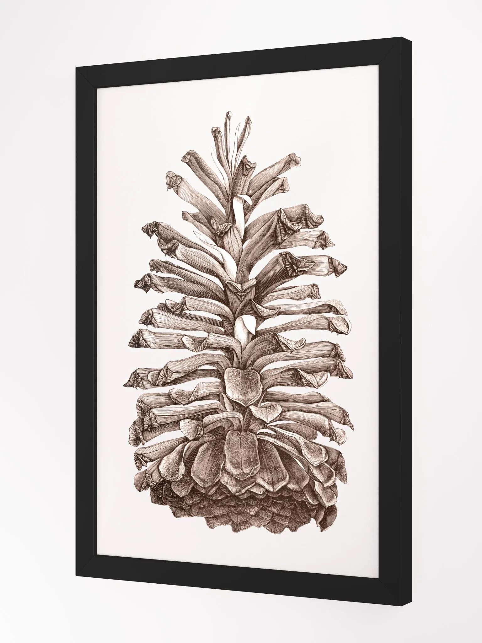 Ecotone Pine Cone Framed Print product image (2)