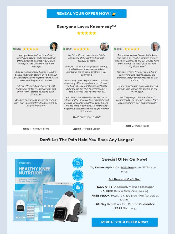 KneeRelief Pro – Pain Therapy Template product image (6)