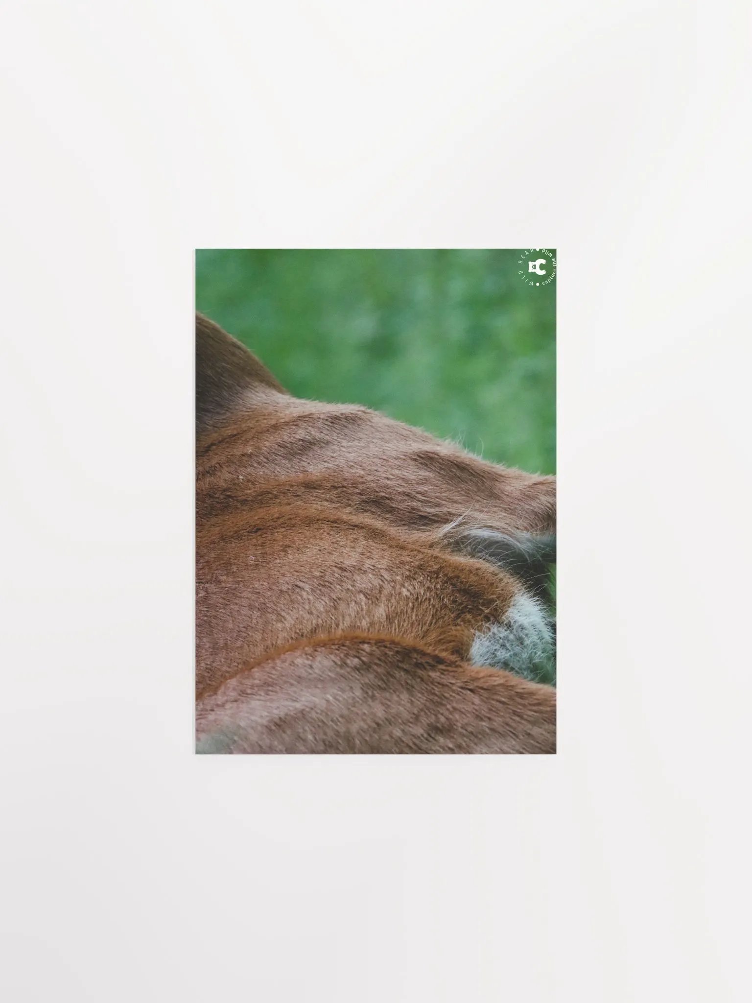 Wild Fur Print Poster product image (5)