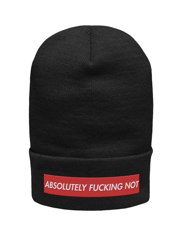 Absolutely Not Beanie product image (1)