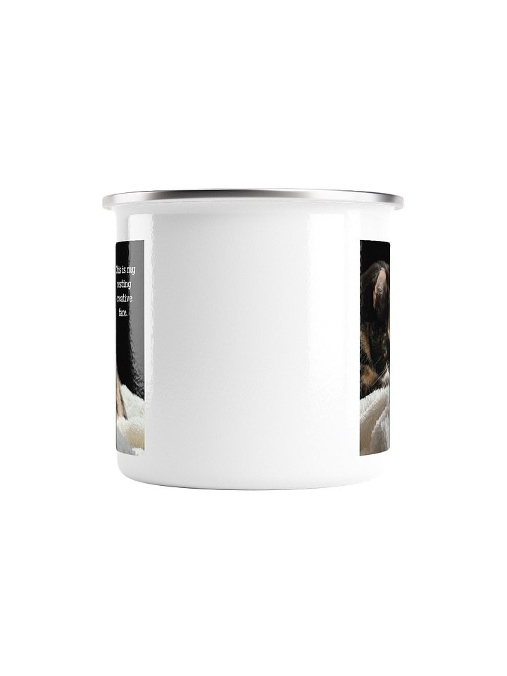 This is my resting creative face. silver rim mug product image (2)