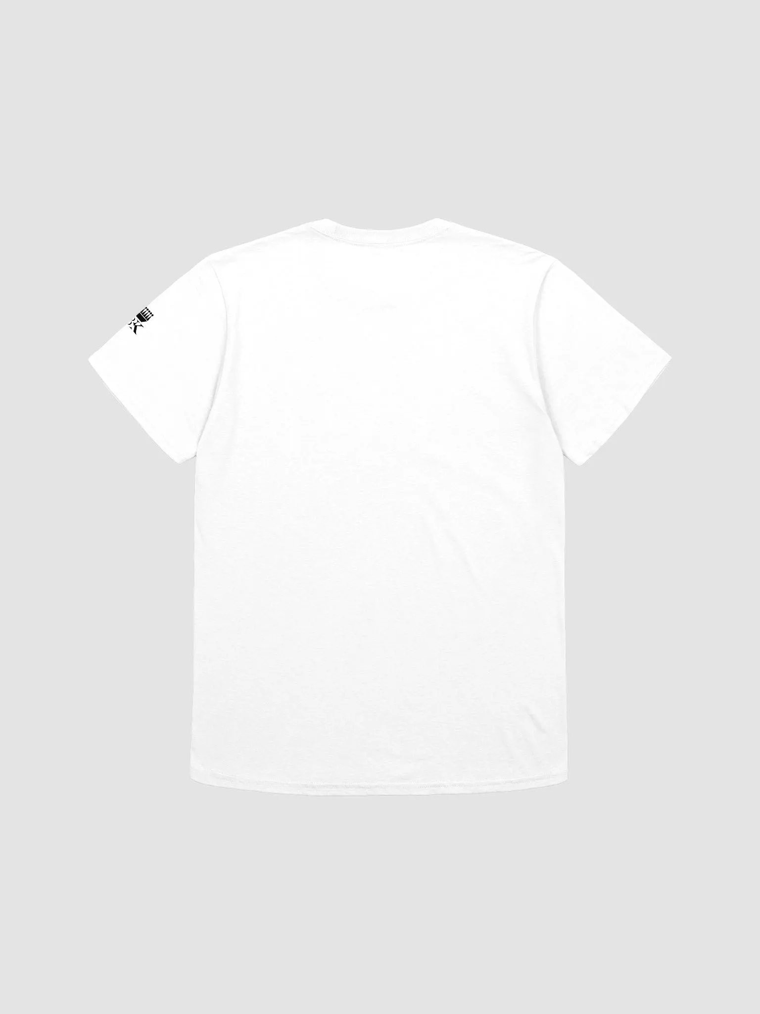 Empowerment. Excellence. Evolution. Relaxed T-shirt product image (2)