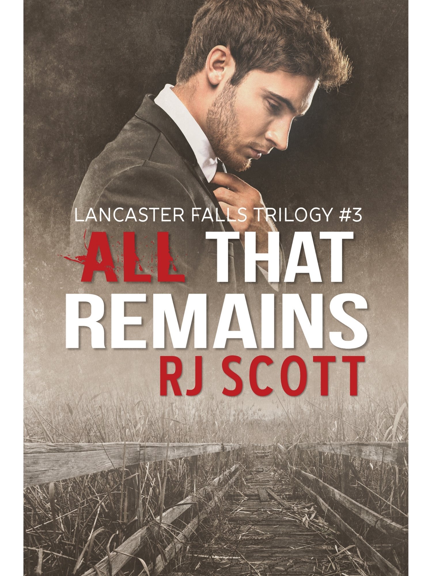 All That Remains (Lancaster Falls 3) product image (2)