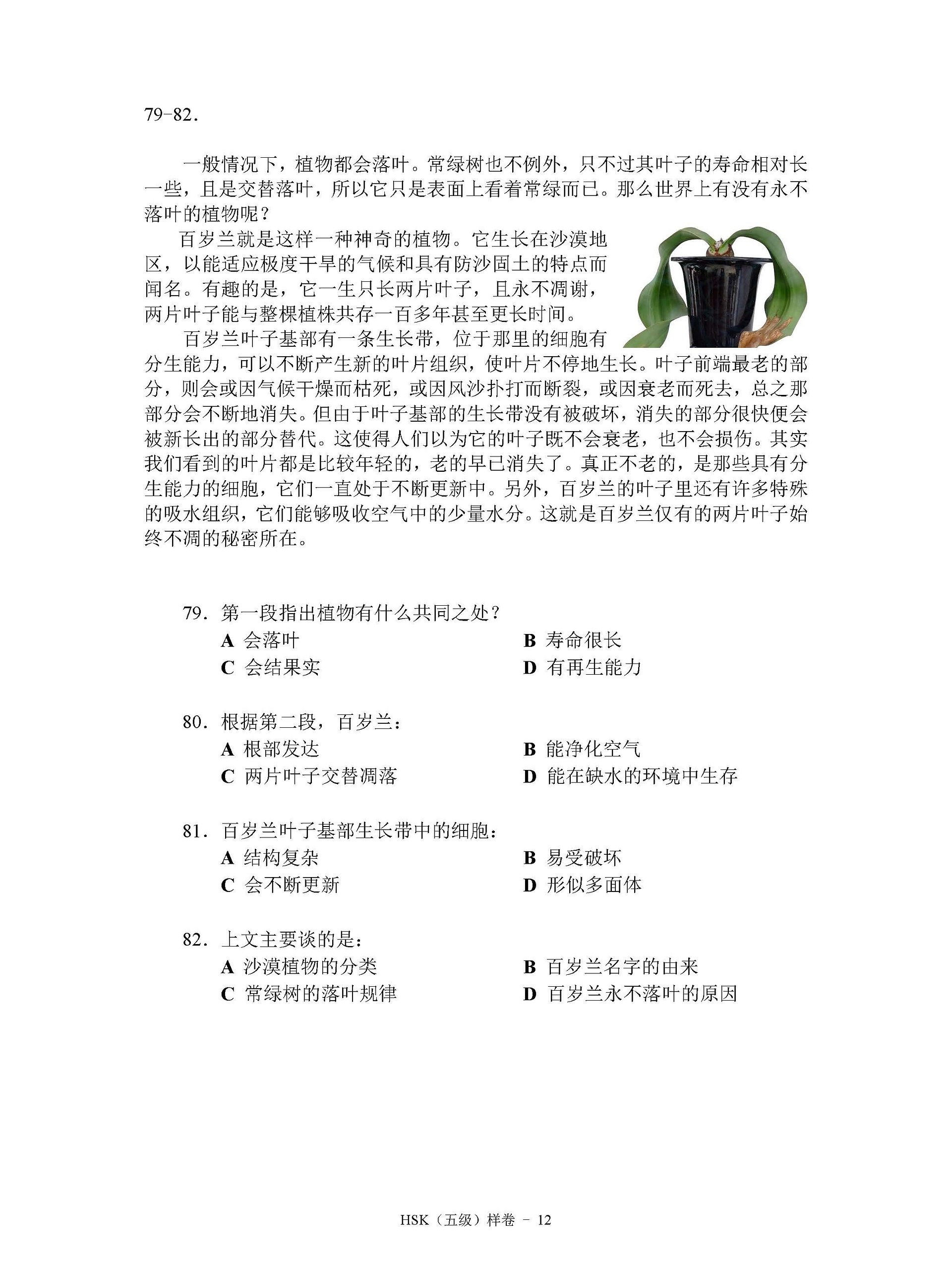 All HSK 5 PDFs product image (4)