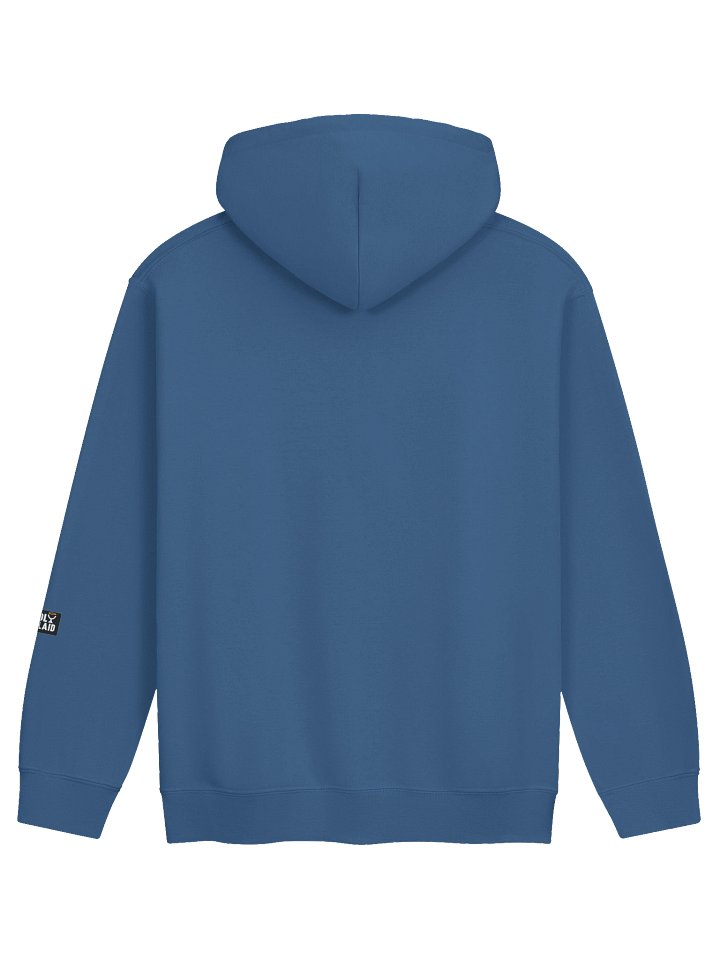 Truth Withstands Scrutiny - Classic Hoodie product image (26)