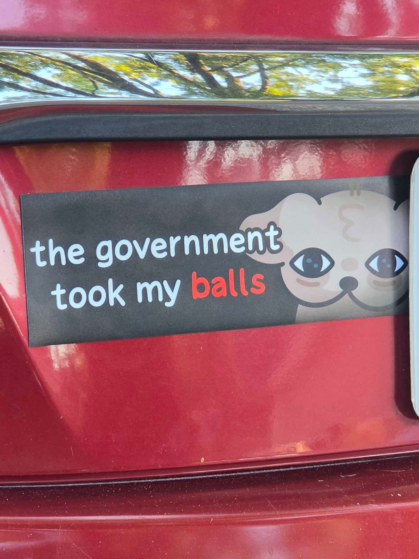 Government Bumper Magnet product image (1)
