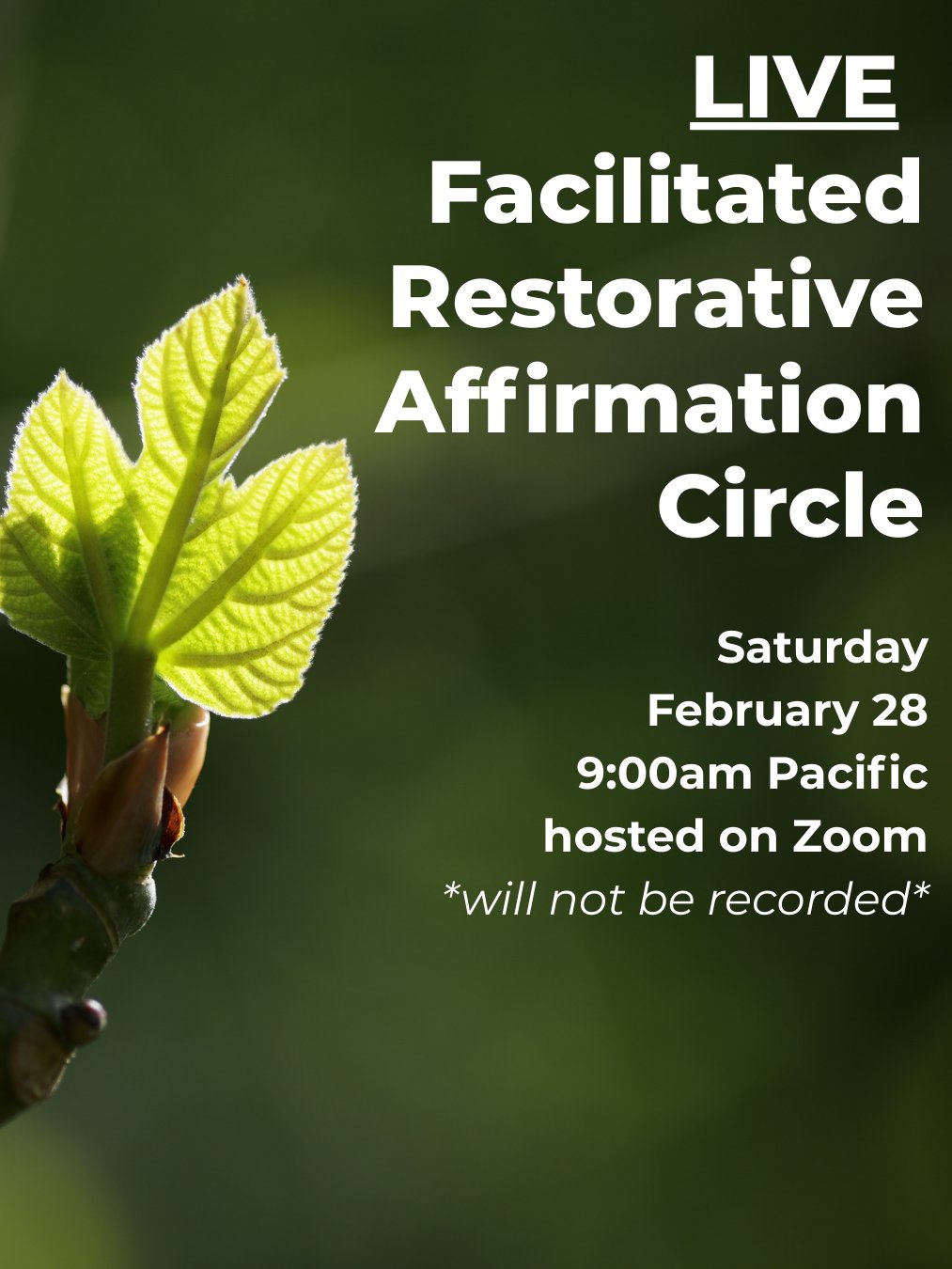 Facilitated Restorative Affirmations Circle (Feb 28, 9am Pacific) product image (1)