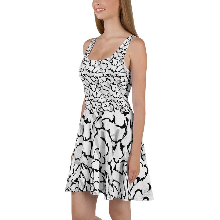 Black White Skater Dress product image (1)