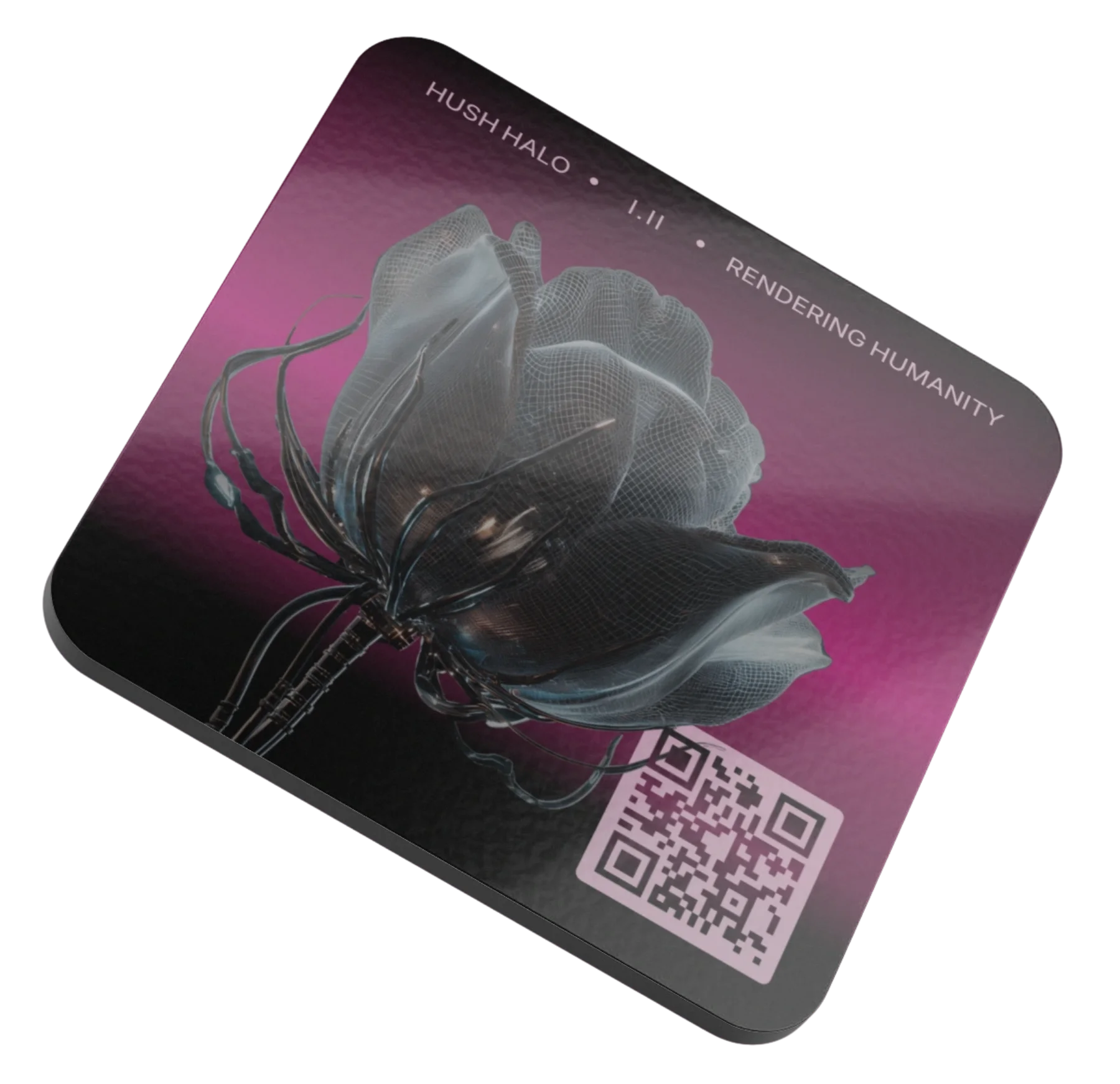 Rendering Humanity, COASTER + Daily Poetry Experience [AUDIO] product image (5)