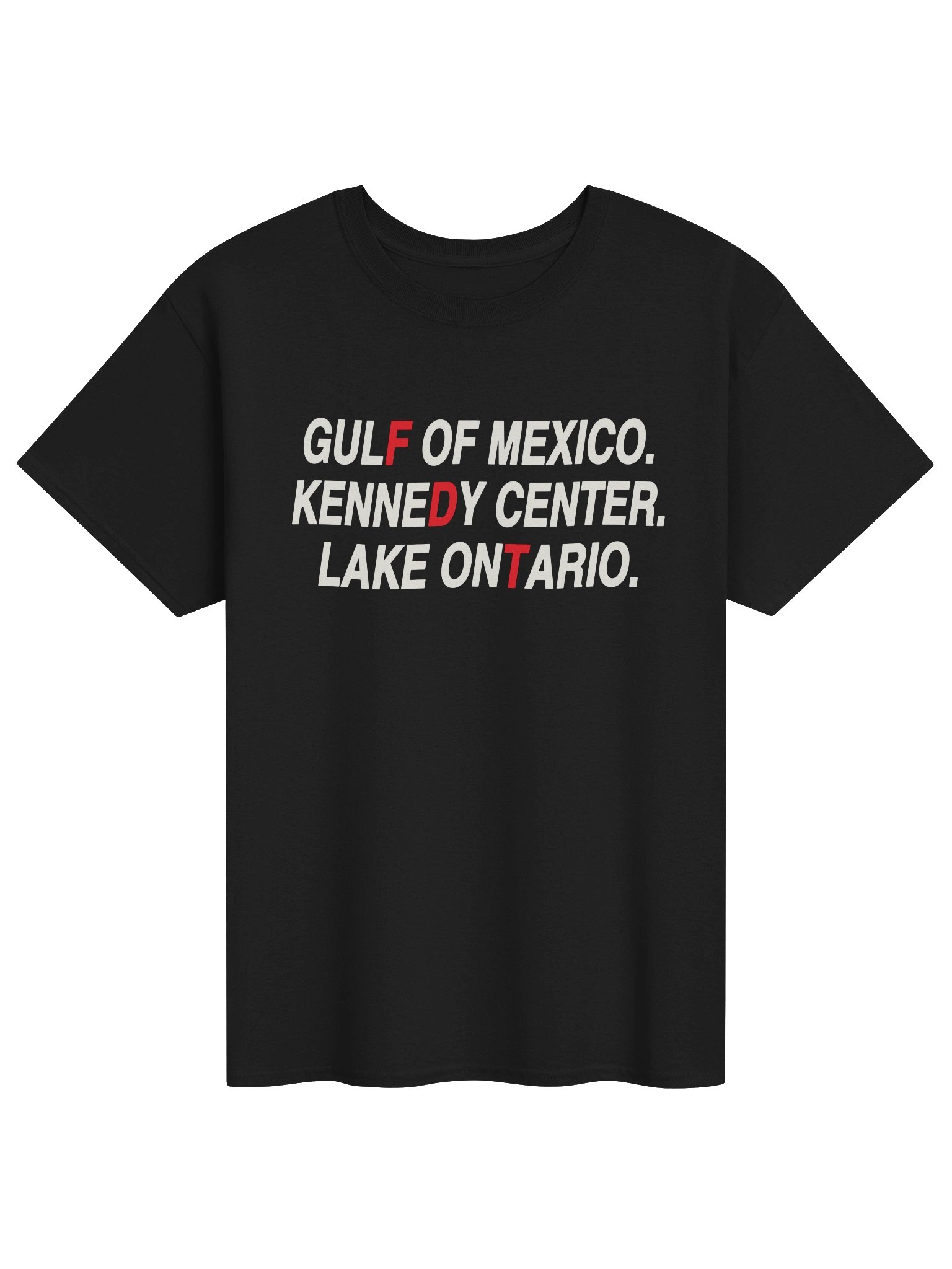 Gulf Of Mexico Kennedy Center Lake Ontario FDT Shirt product image (1)
