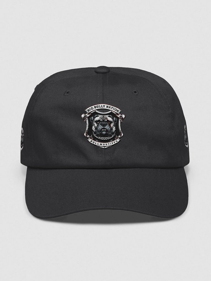 BBN Alter Ego Dad Hat product image (4)