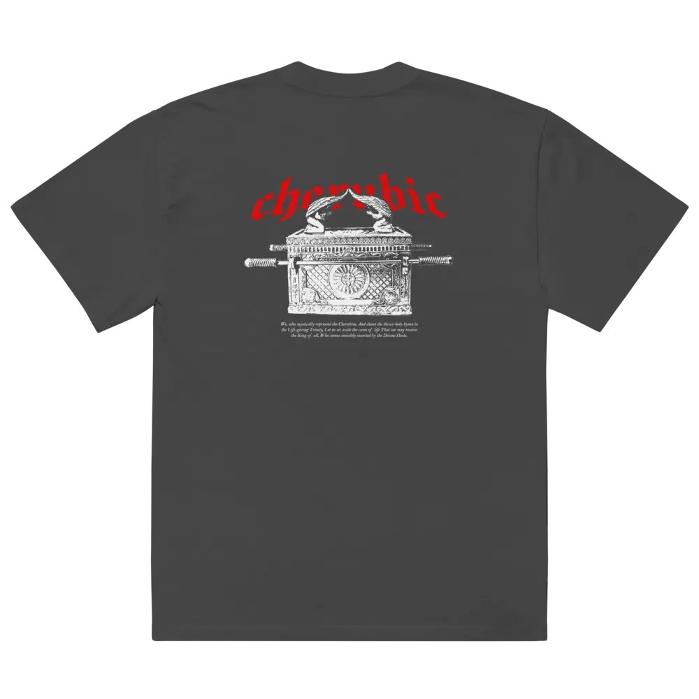 Cherubim Oversized Tee product image (1)