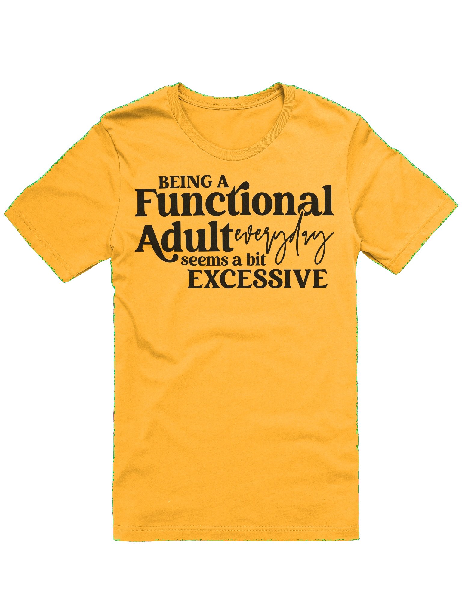 Being A Functional Adult product image (21)