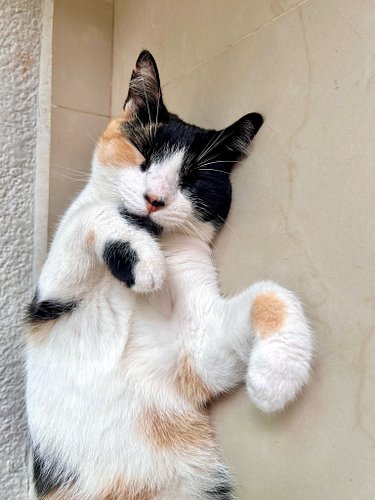 Hope you are having a lovely day.