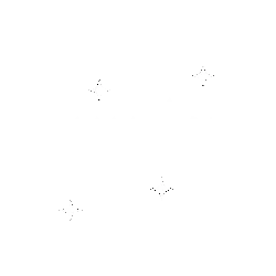 CYNIX