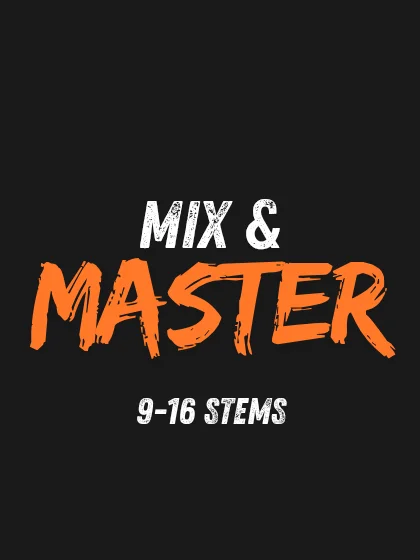 Mix + Master — Single Track (9–16 stems) product image (1)