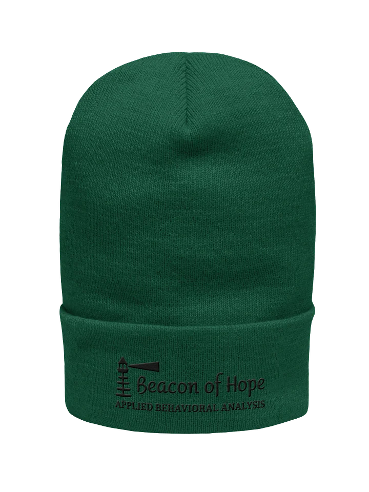 Beacon Cuffed Beanie product image (5)