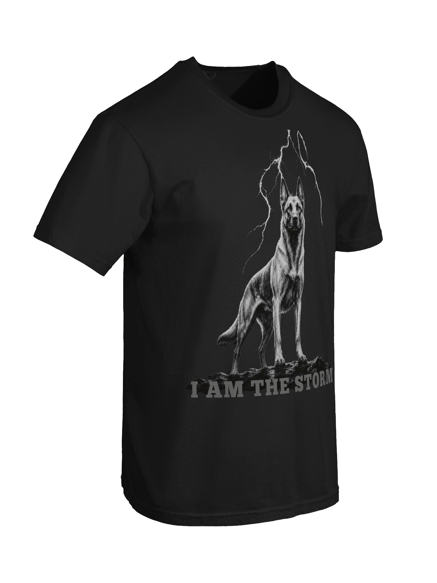 I AM THE STORM product image (18)