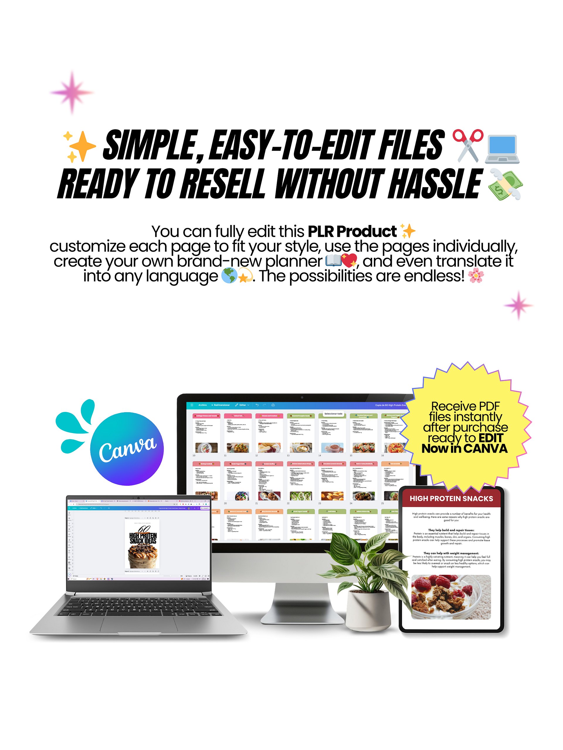 High Protein Recipes: 60 Snack Recipes | PLR/MRR Ebook product image (4)