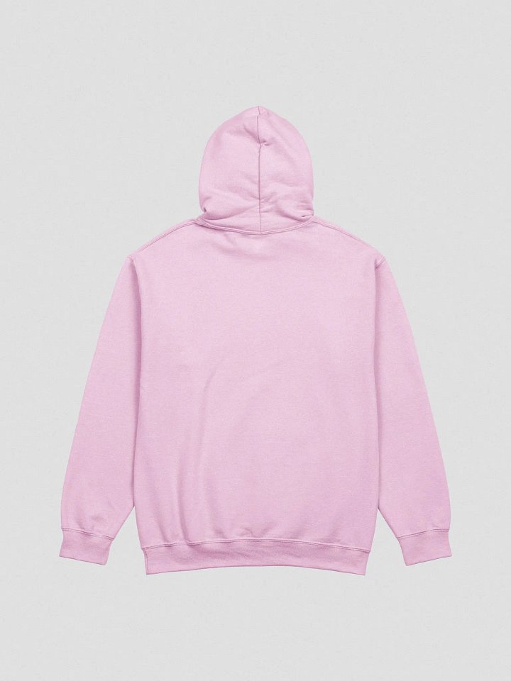 Pinipy Graphic Hoodie V2 (Colour Options) product image (12)