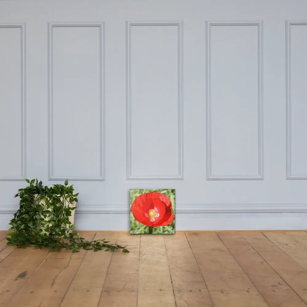 Red Poppy product image (6)