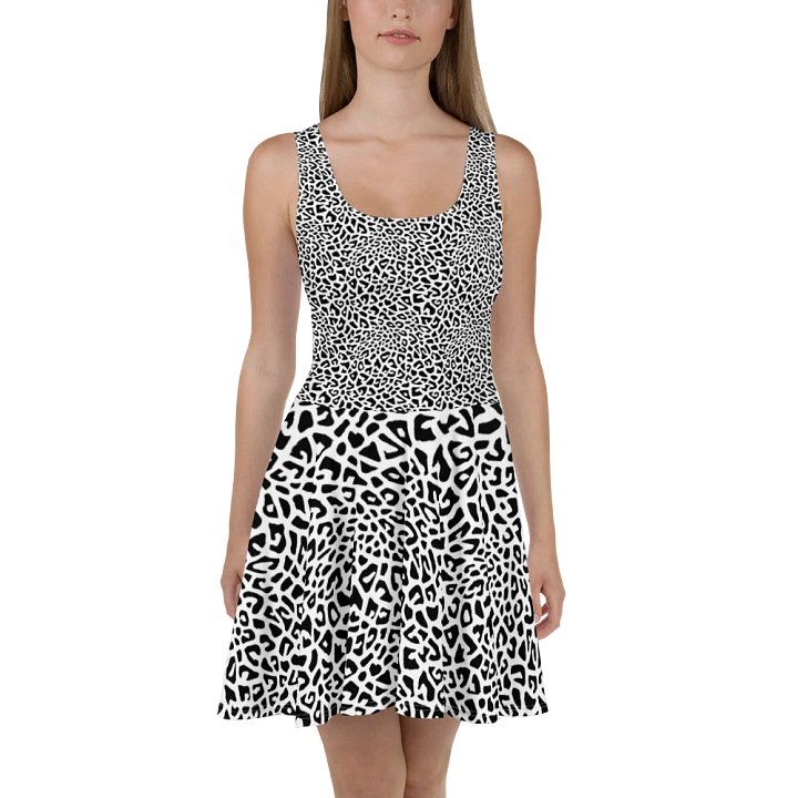 Silver Leopard Skater Dress product image (2)