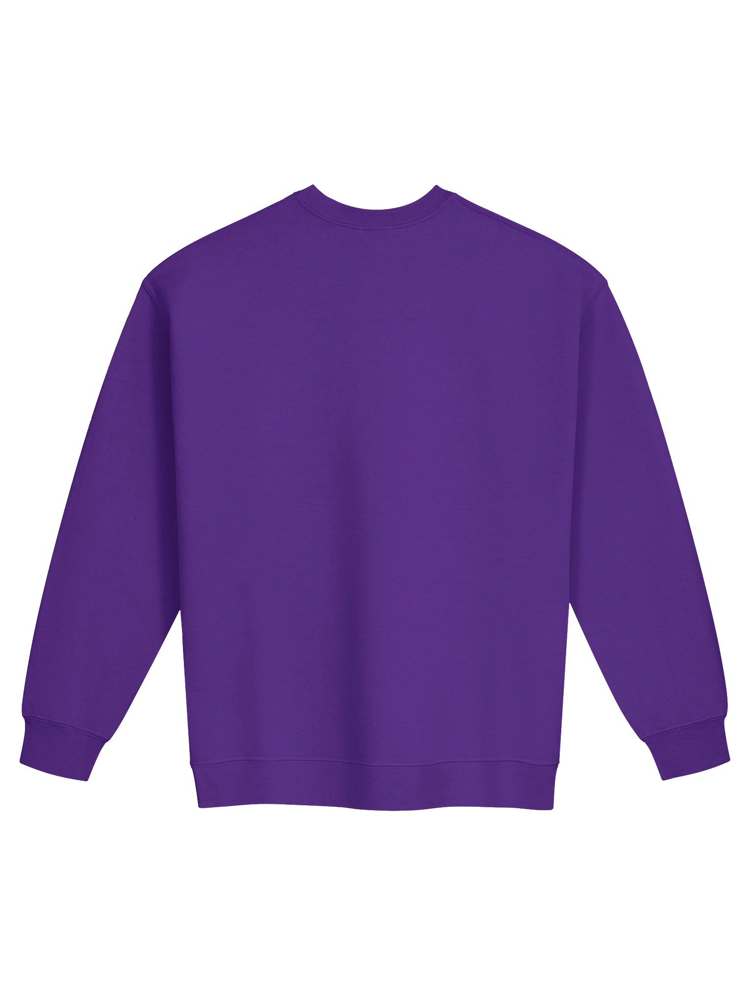 BRADY SWEATSHIRT product image (5)