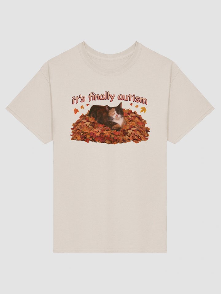 It's Finally Autism Autumn Cat T-shirt product image (2)