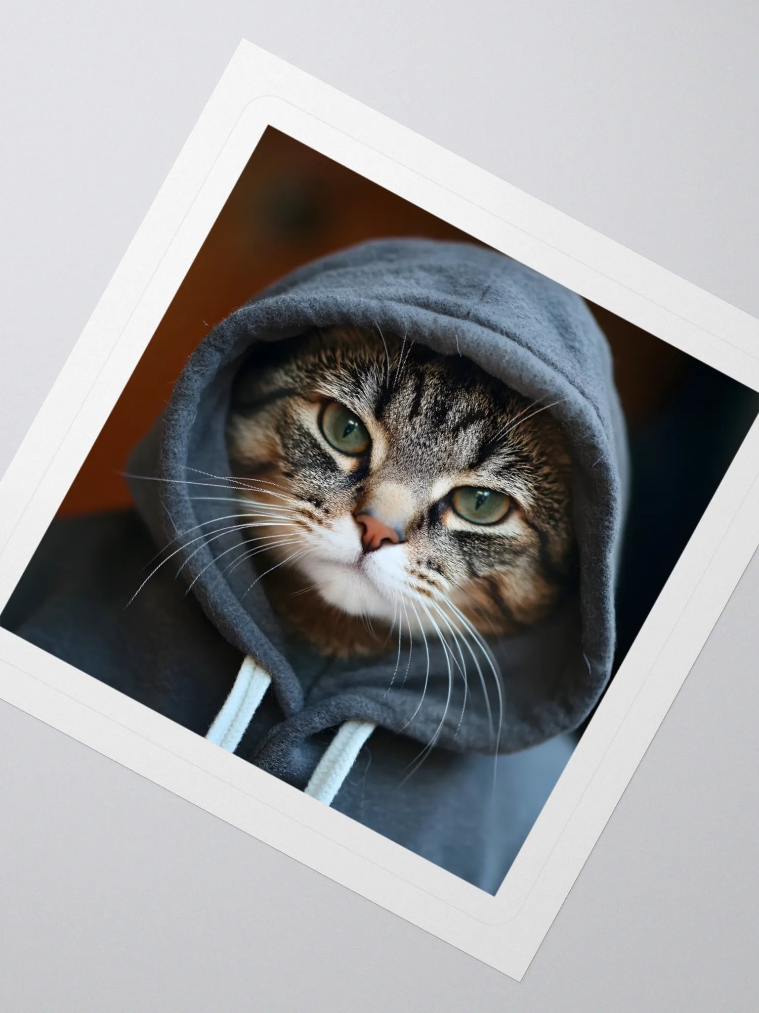 Hacker Cat product image (5)