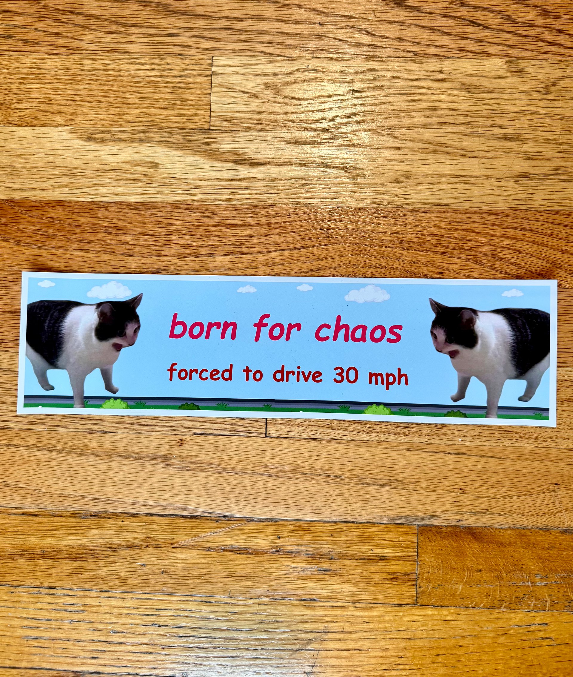 Born for chaos forced to drive 30 mph large bumper sticker product image (2)