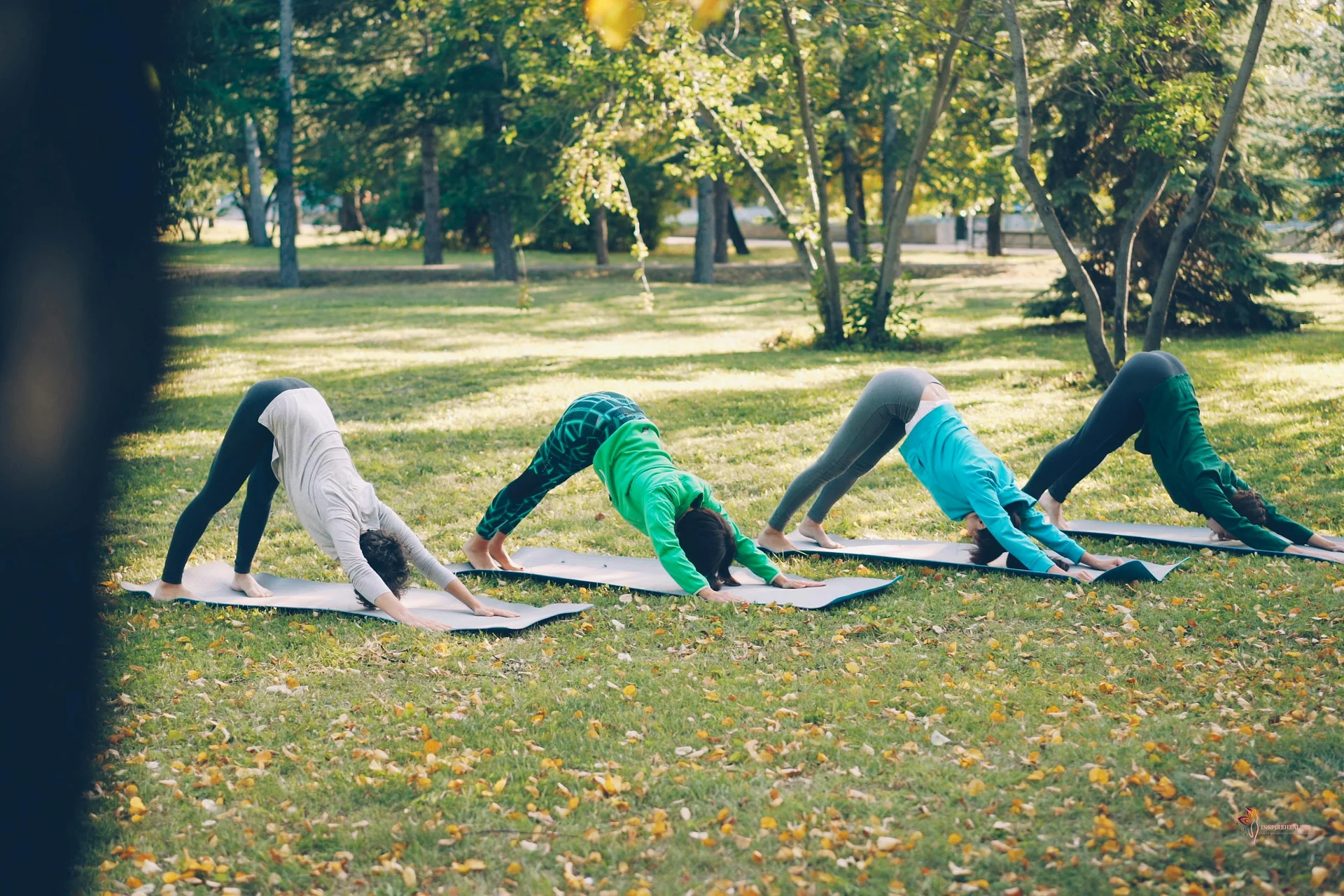 The Group Wellness Experience product image (2)