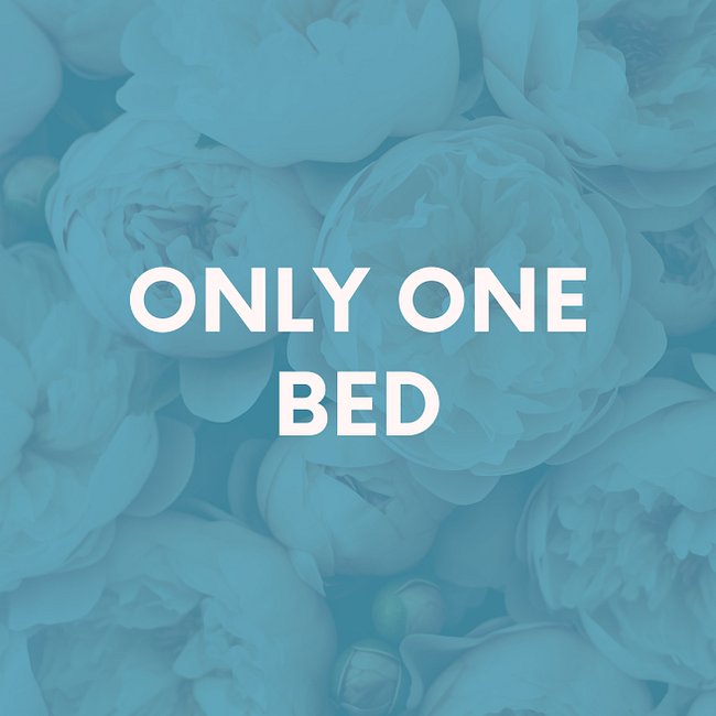 Only One Bed
