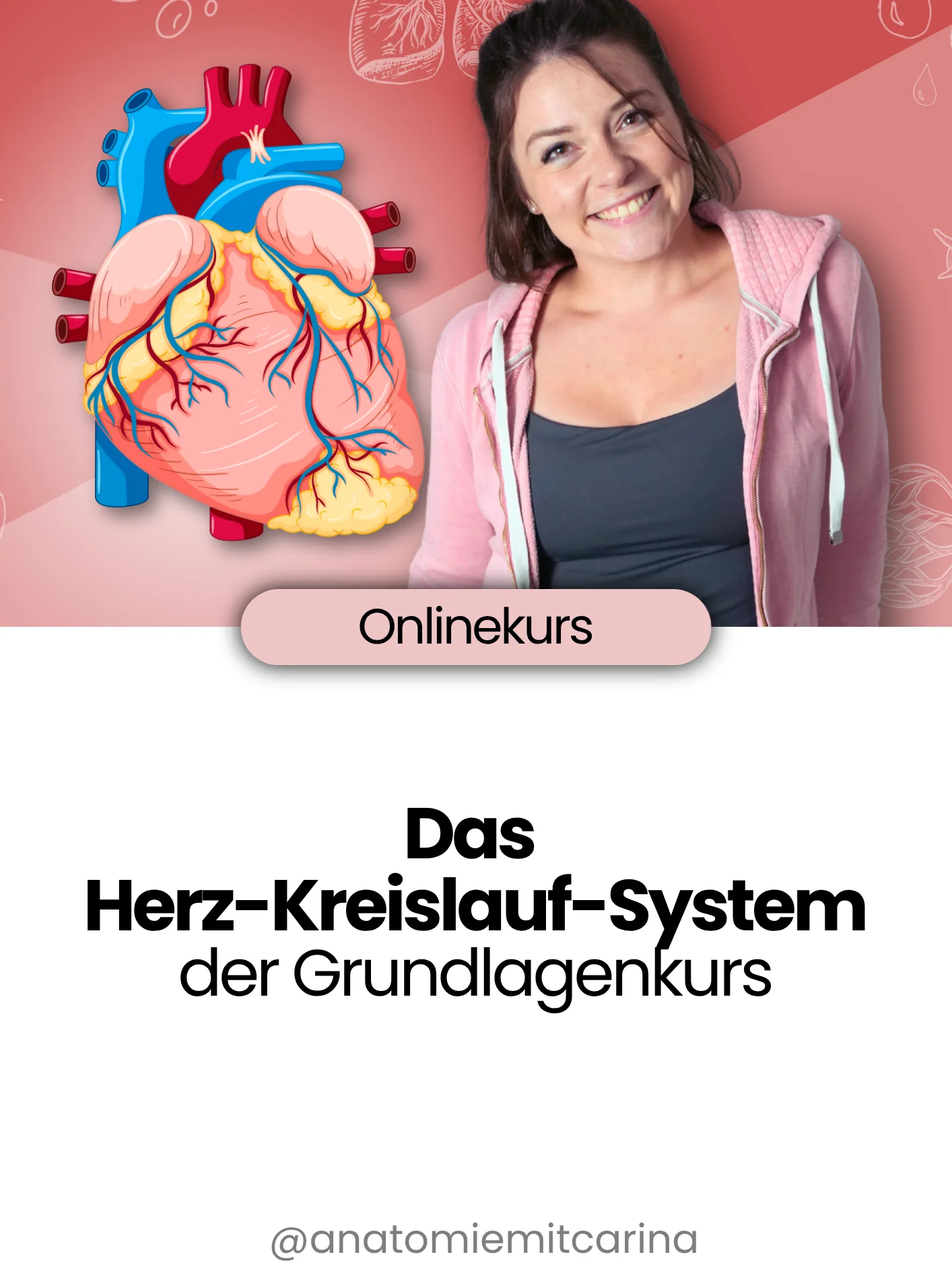 Das Herz-Kreislauf-System | der Grundlagenkurs product image (1)