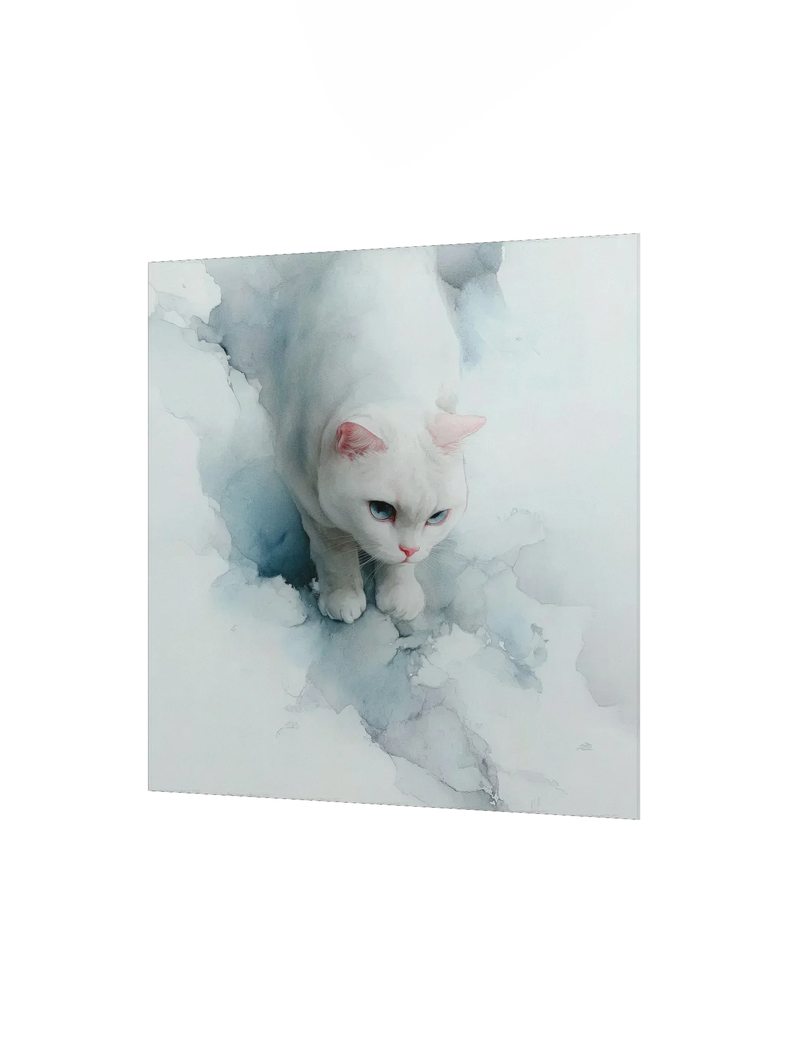 Powder Blue Blue-Eyed Cat product image (7)