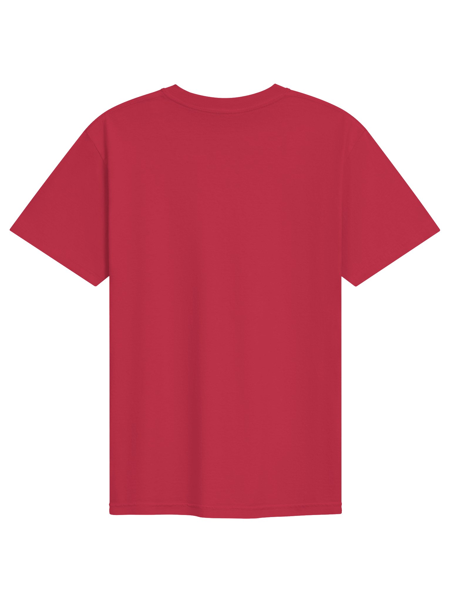 ALASO Haiti 2026 Graphic Tee product image (2)