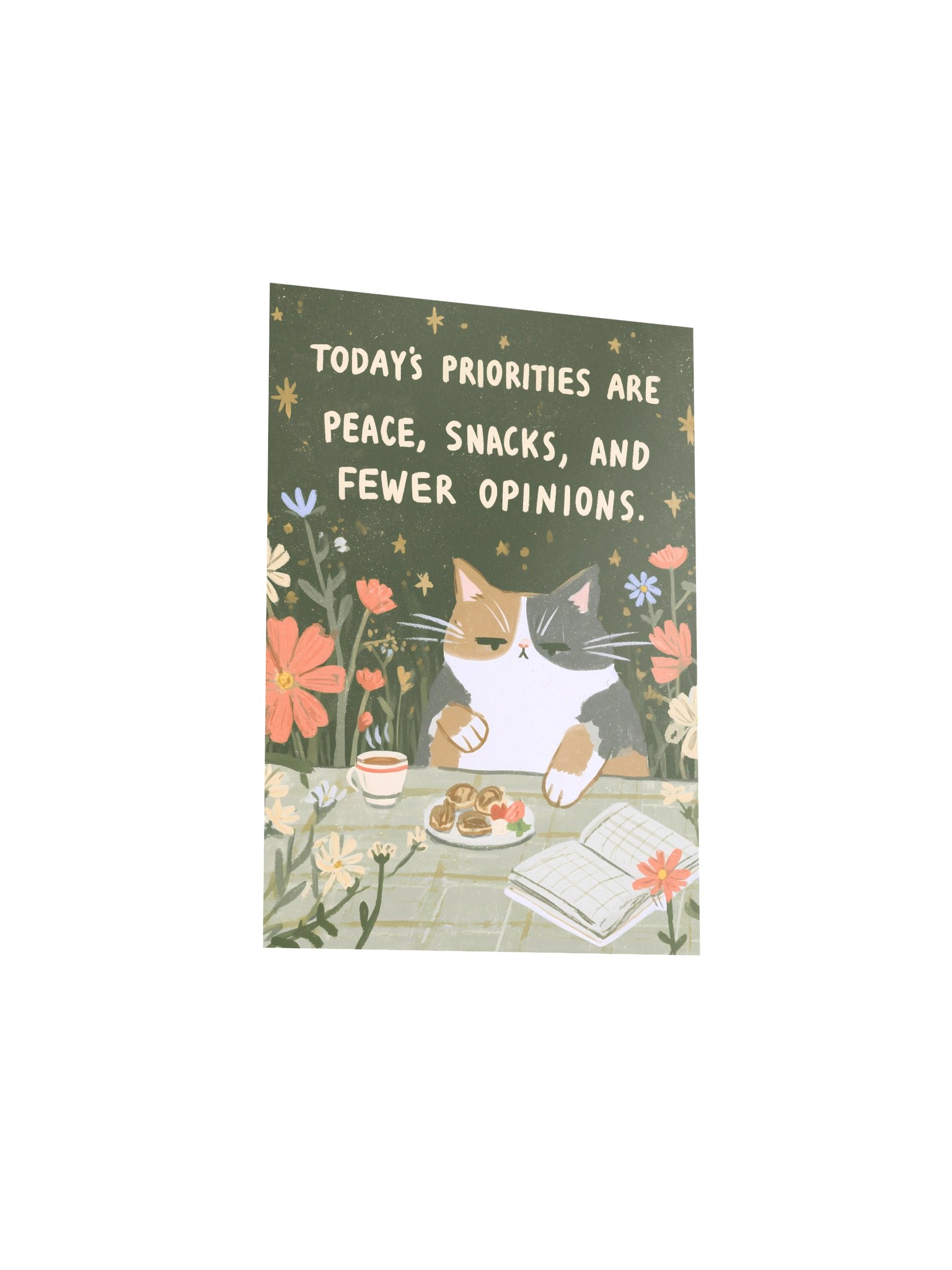 Peace, Snacks & Fewer Opinions Cat Poster product image (20)