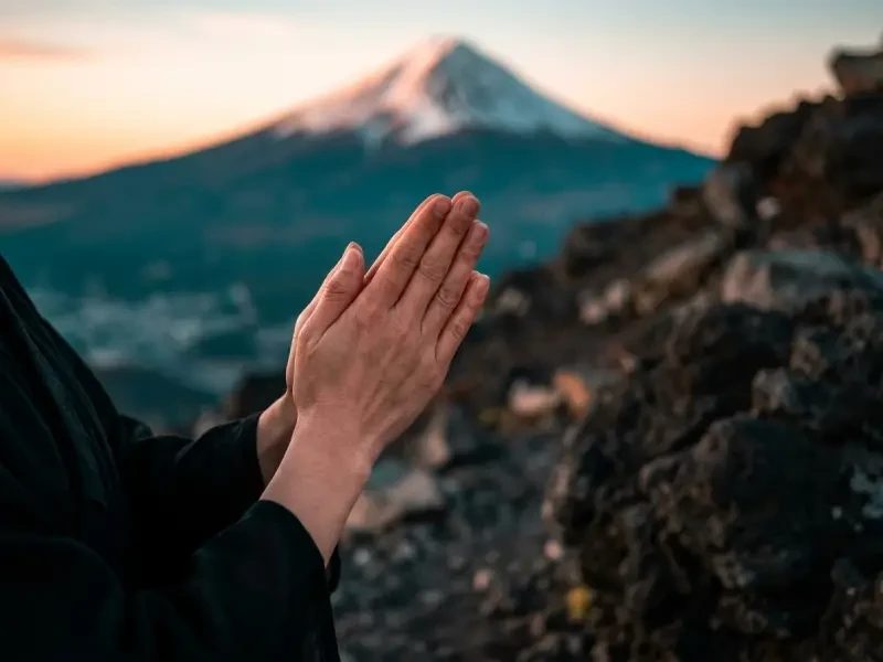 Hands in prayer gesture