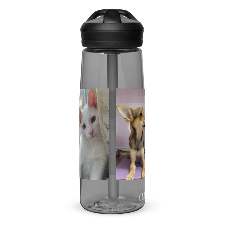 All The Pets Bottle! product image (2)