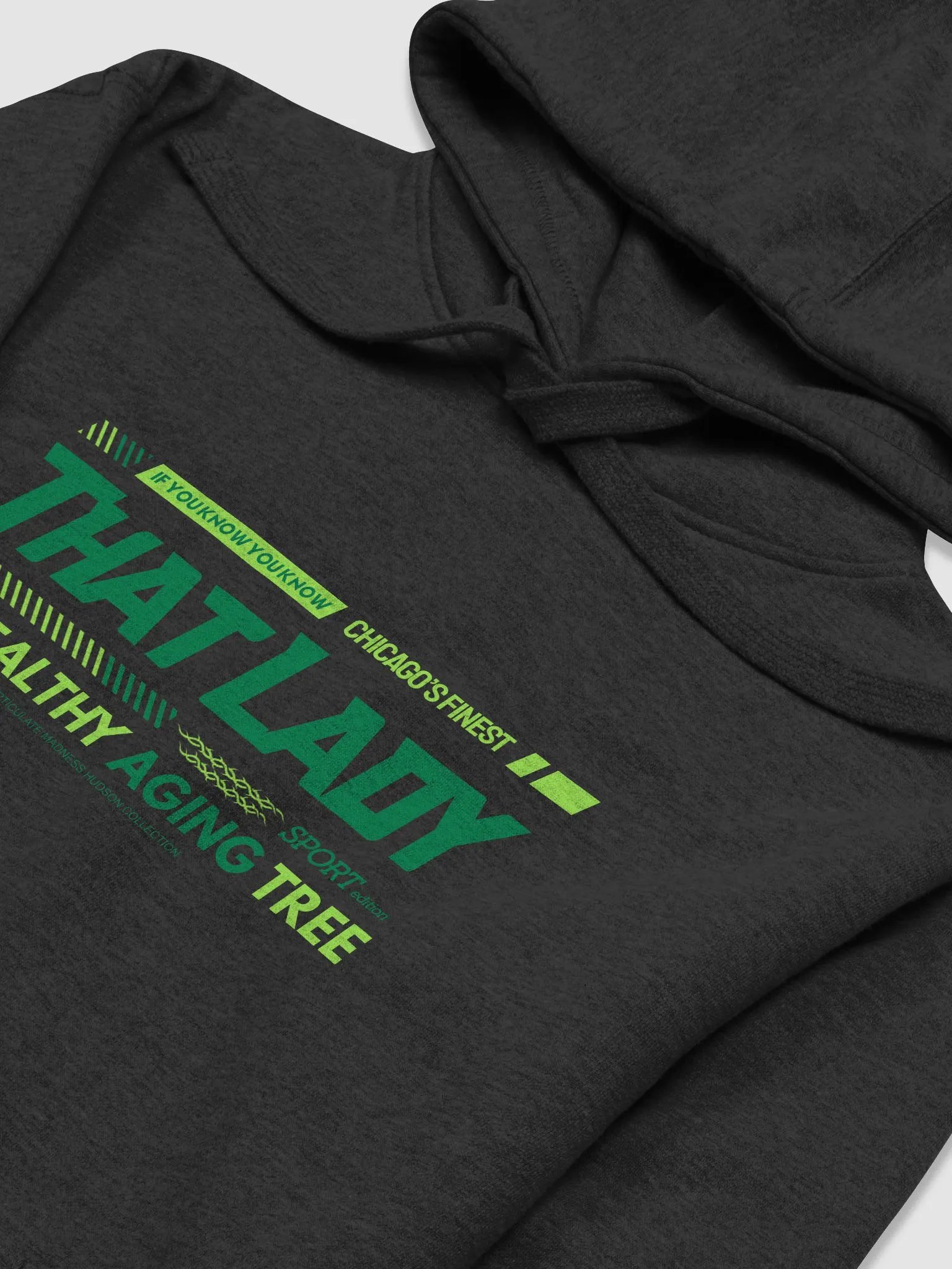 That Lady Chicago Hoodie (Spritzer Edition) product image (28)