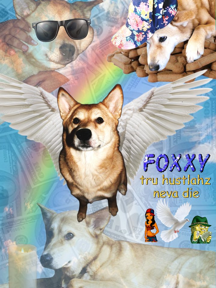 Pet Portraits product image (1)