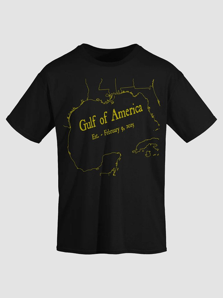 Gildan Heavyweight Tee-Gulf Of America-G product image (2)