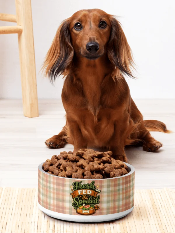 Fresh Fed & Spoiled Dog Bowl – Plaid Fresh Feeding Pet Bowl product image (1)