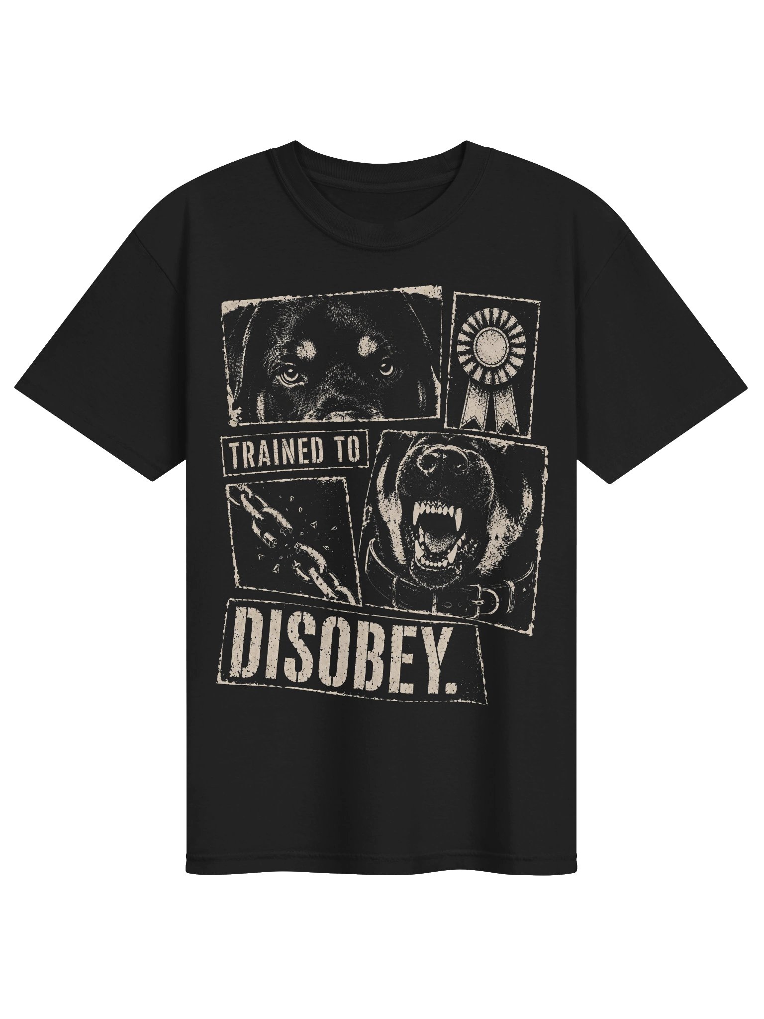 Trained to Disobey Heavyweight Vintage Graphic Tee product image (1)