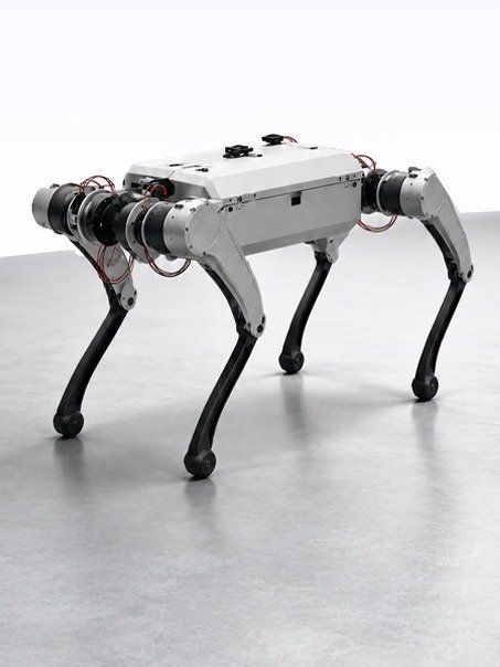 NavBot-D1 Quadruped Robot product image (1)