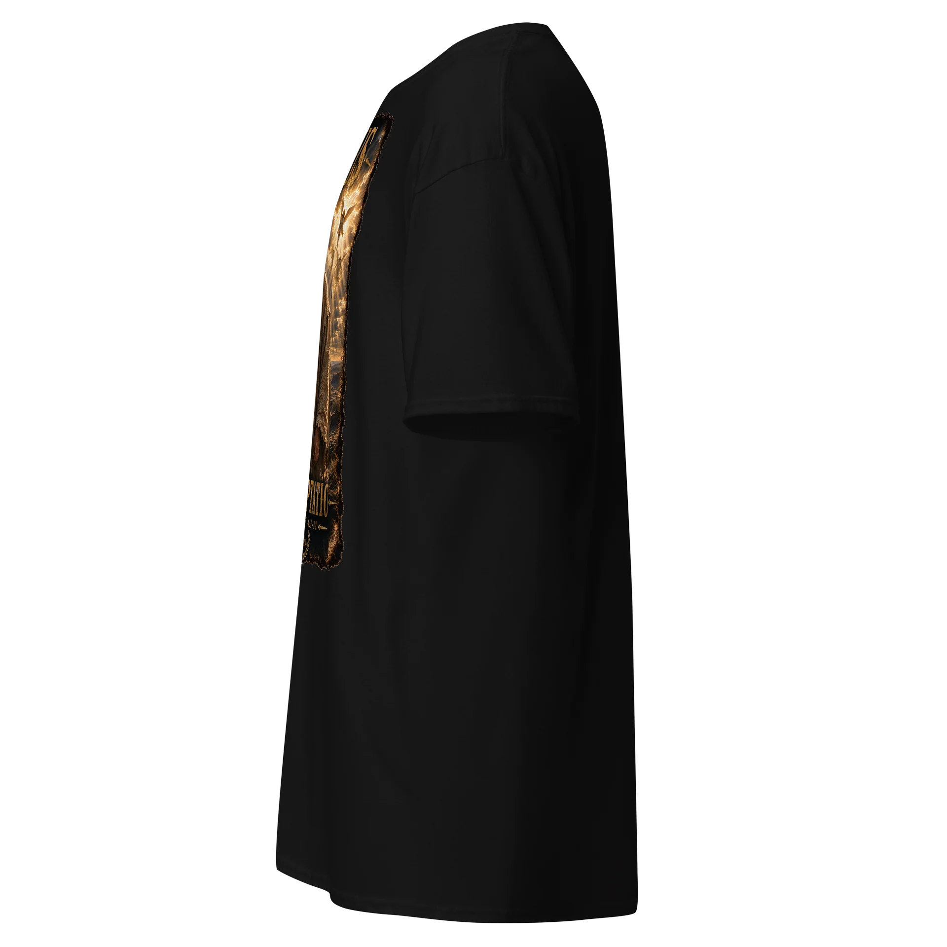 Jesus The Temptation product image (11)
