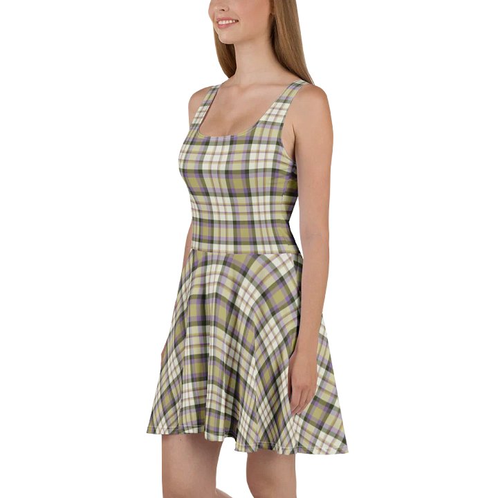 Light FVW Tartan | Skater Dress product image (1)