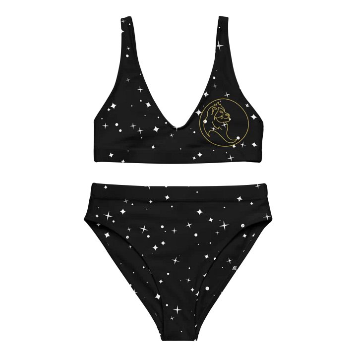 Starry Lion Recycled High Waisted Bikini product image (1)